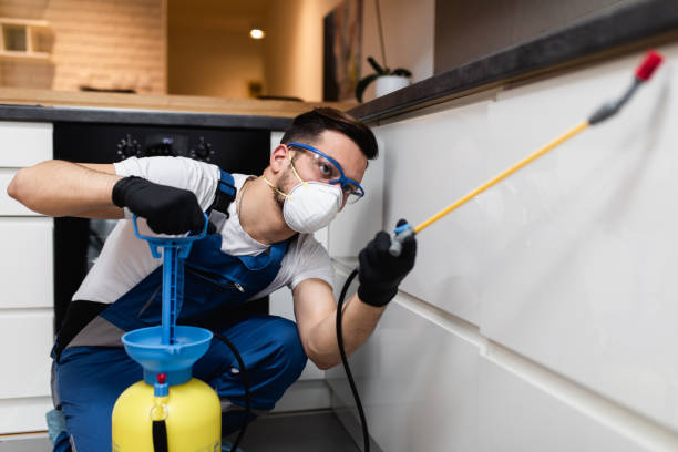 Best Flea Control Services  in Woodcreek, TX