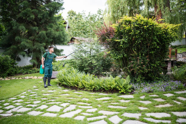 Best Mosquito Control Services  in Woodcreek, TX