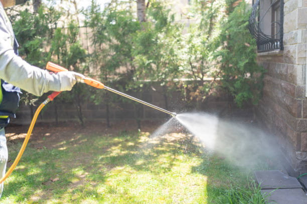Professional Pest Control in Woodcreek, TX
